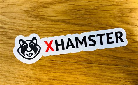 xhamster brazzer